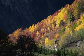 Autunno in Val di Mello - Foto di R.Moiola - www.sysaworld.com