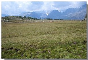 L'alpe Acquanera (foto M. Dei Cas)