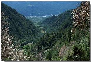 La bassa val di Rhon vista dal sentiero. Foto di M. Dei Cas