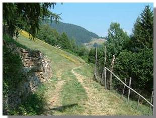 La pista che conduce alla strada sterrata che sale a San Gaetano. Foto di M. Dei Cas