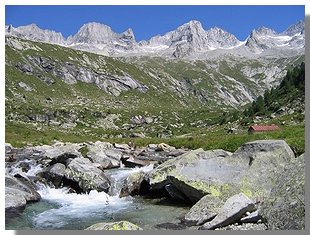 Pianone di Val Porcellizzo. Foto di M. Dei Cas. 