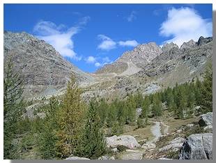 Il sentiero per il rifugio Carate Brianza. Foto di M. Dei Cas