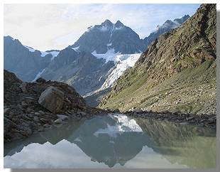 Il pizzo Roseg. Foto di M. Dei Cas