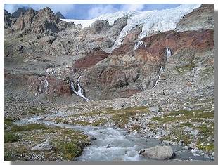 La vedretta di Scerscen superiore. Foto di M. Dei Cas