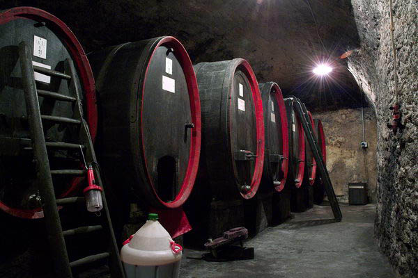 Botti presso le Cantine Marsetti (foto R. Moiola) Botti presso le Cantine Marsetti (foto R. Moiola)