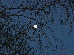 Panorama notturno
