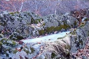 Il Puz di Strii: immagine diurna. Foto di M.  Dei Cas