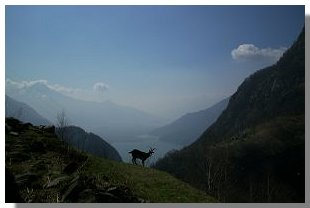 Il lago di Novate Mezzola visto da Cii. Foto di M. Dei Cas