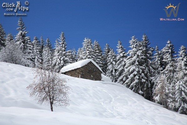 Abbondante nevicata alle Tagliate (Foto R.Ganassa)